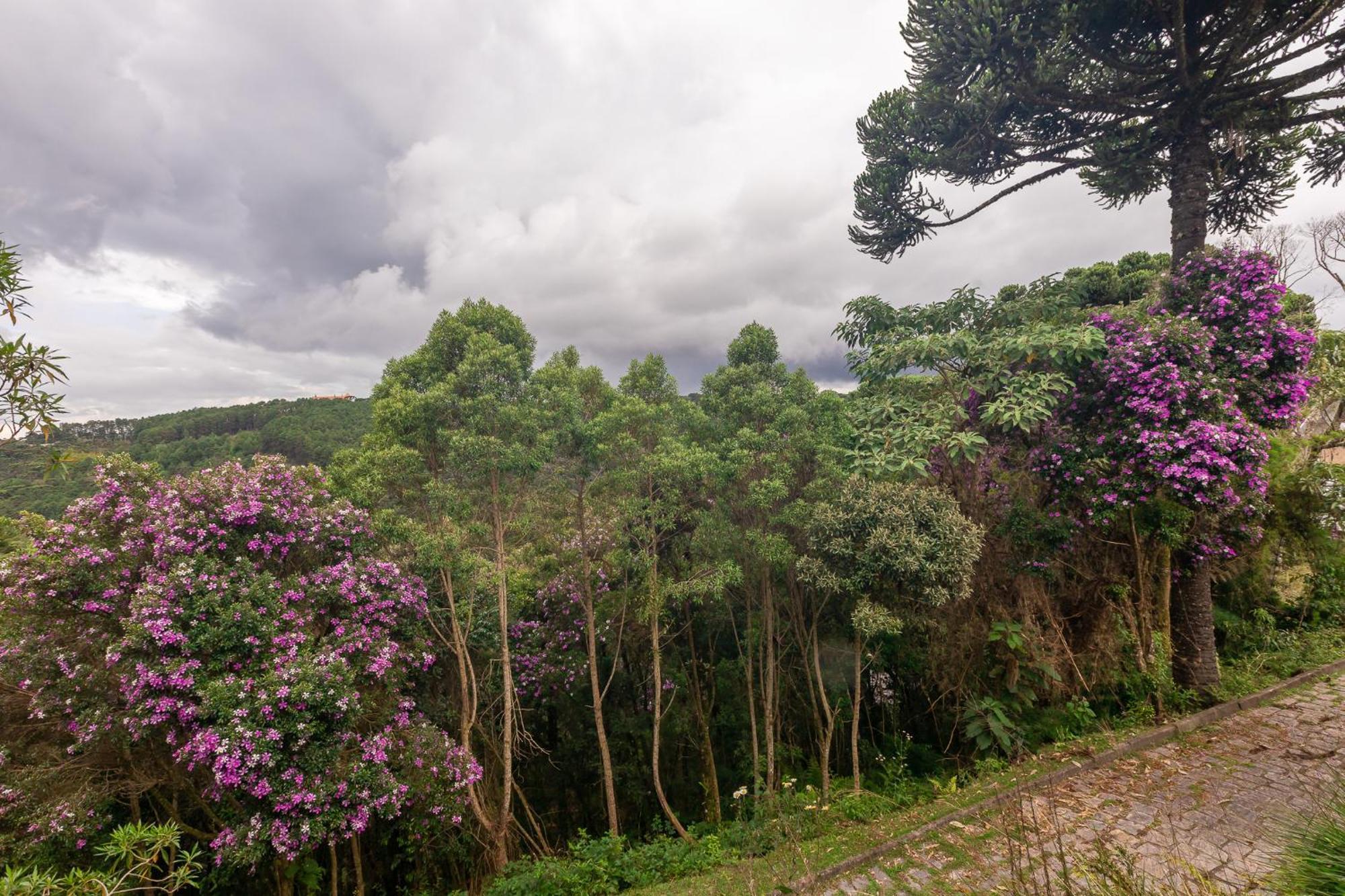 Villa Hegus Alojamento de Turismo Selvagem
